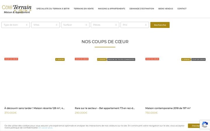 Screenshot von cote-terrain.fr