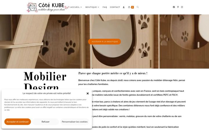Zrzut ekranu cotekube.fr