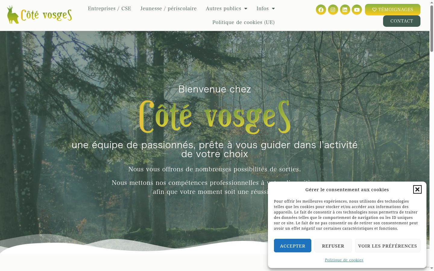 Screenshot van de toestemmingsbanner zoals getoond vóór enige interactie