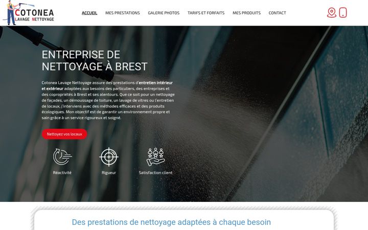 Screenshot of cotonealavagenettoyage.fr