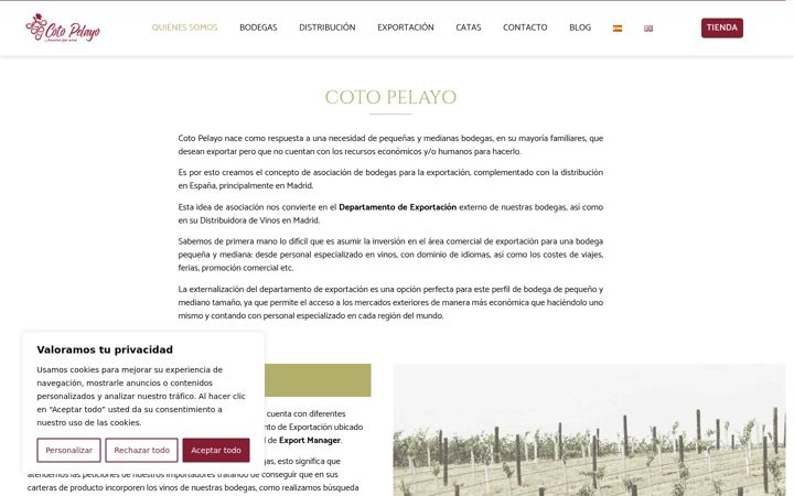 Screenshot of cotopelayo.com