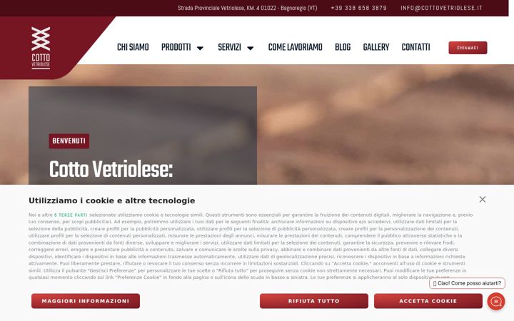 Screenshot of cottovetriolese.it