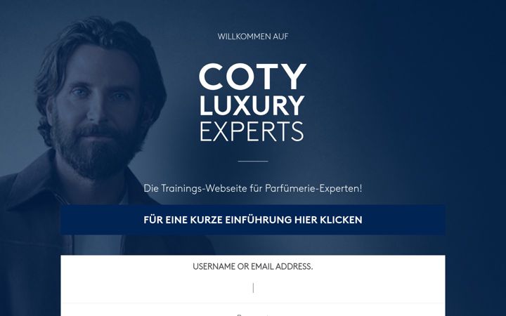 Screenshot of cotyluxuryexperts.com