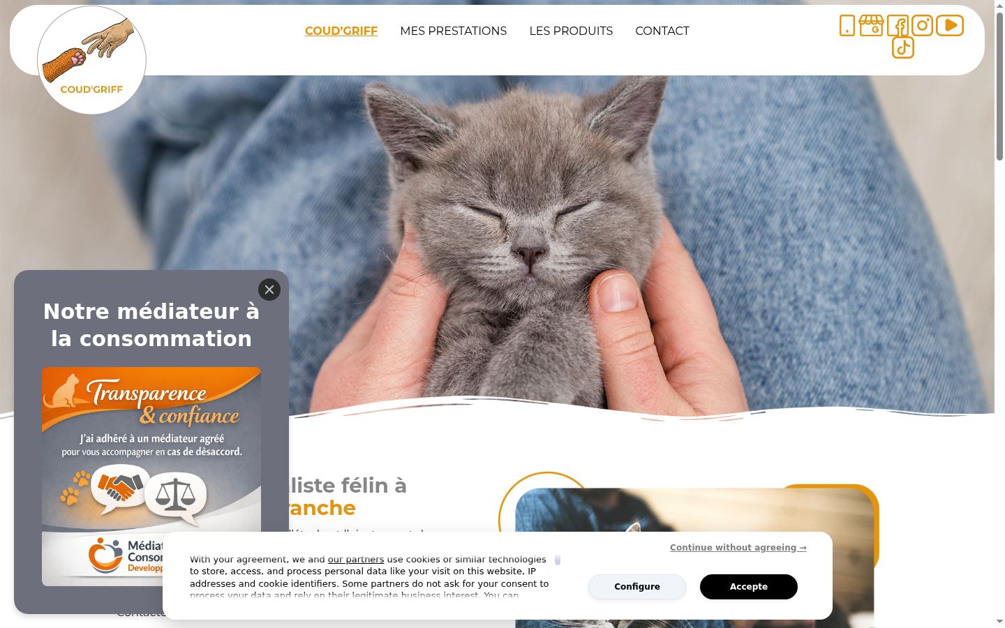 Sutikimo reklamjuostės, rodytos prieš bet kokią sąveiką, ekrano kopija