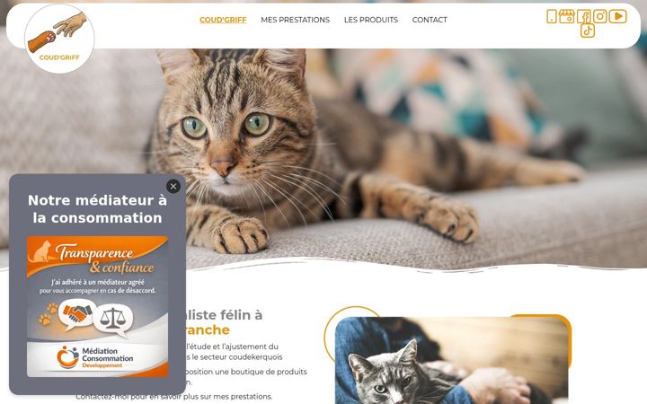 Screenshot of coudgriff59.fr
