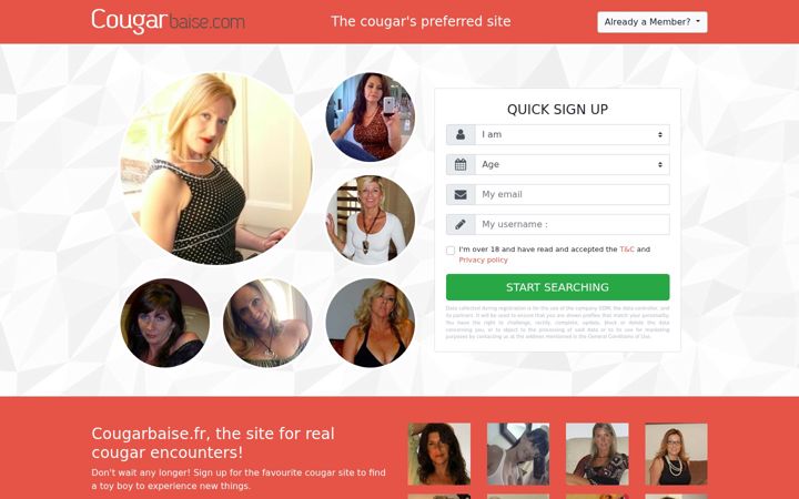 Screenshot of cougarbaise.fr