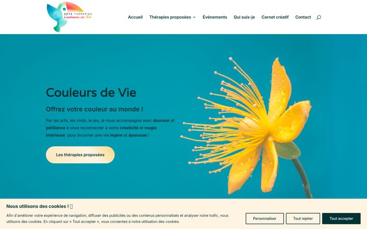 Screenshot of couleurs-de-vie.com