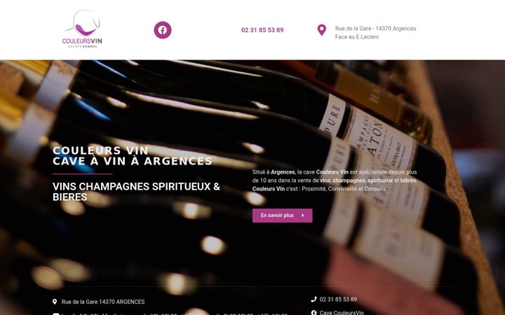 Screenshot of couleursvin.com