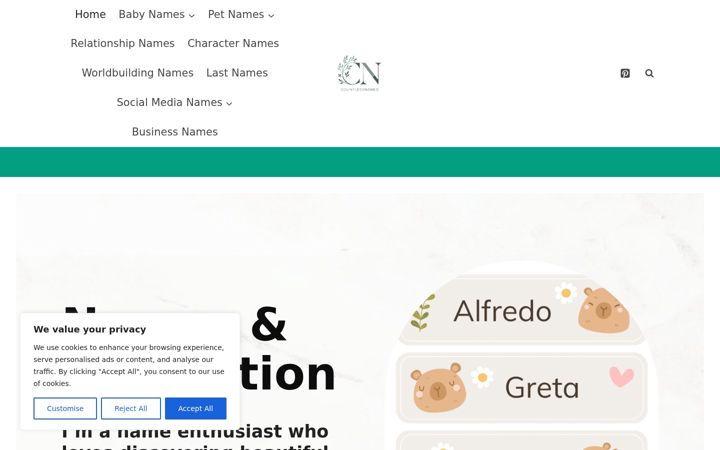 Screenshot of countlessnames.com