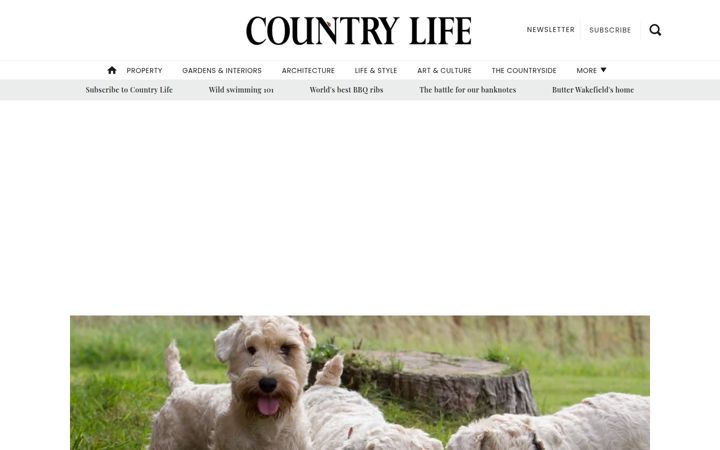 Screenshot of countrylife.co.uk