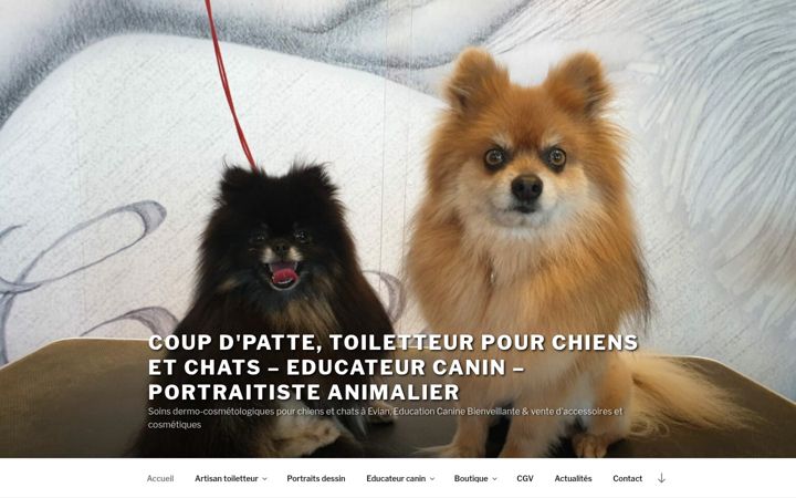 Ekrano kopija coup-dpatte.fr