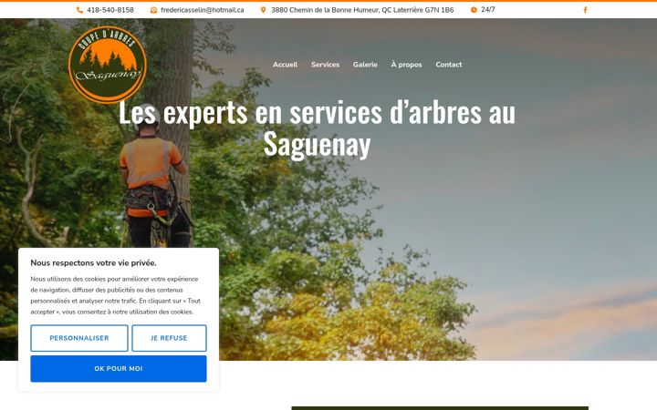 Screenshot of coupedarbressaguenay.ca