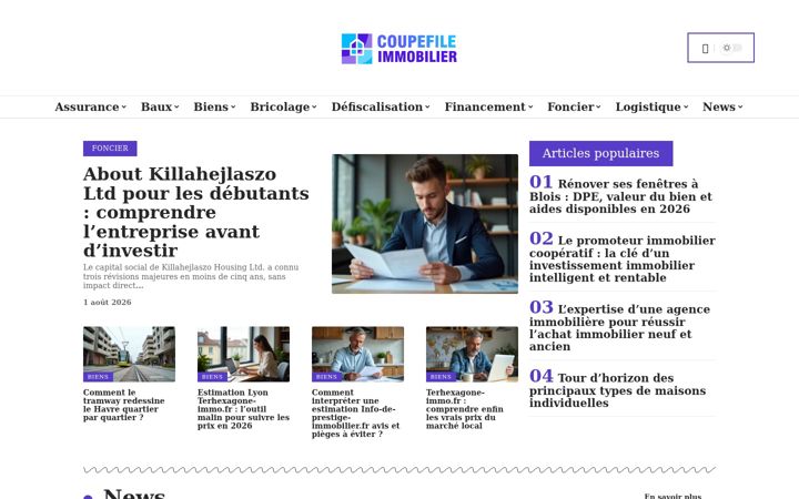 Screenshot of coupefile-immobilier.com