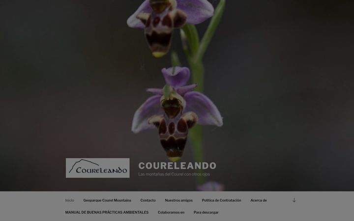 Screenshot of coureleando.com