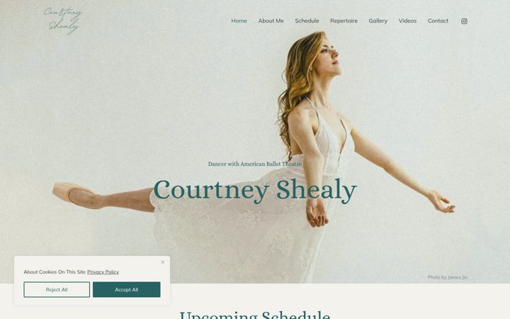 Screenshot of courtneyshealy.com