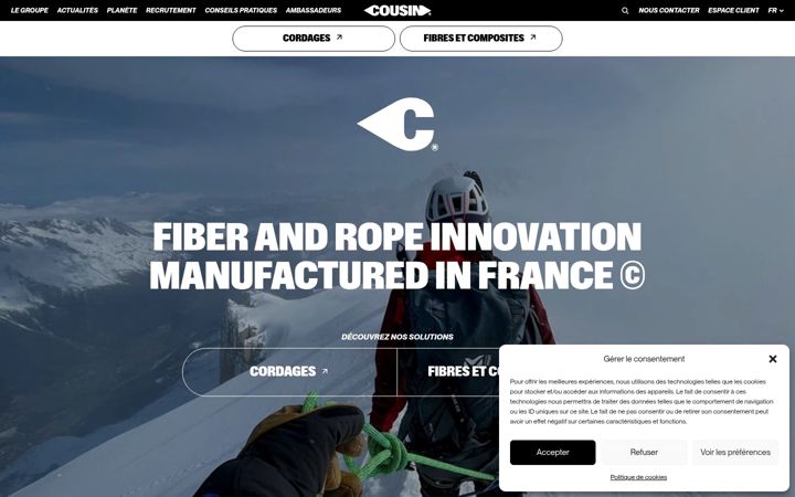 Screenshot of cousin-group.com