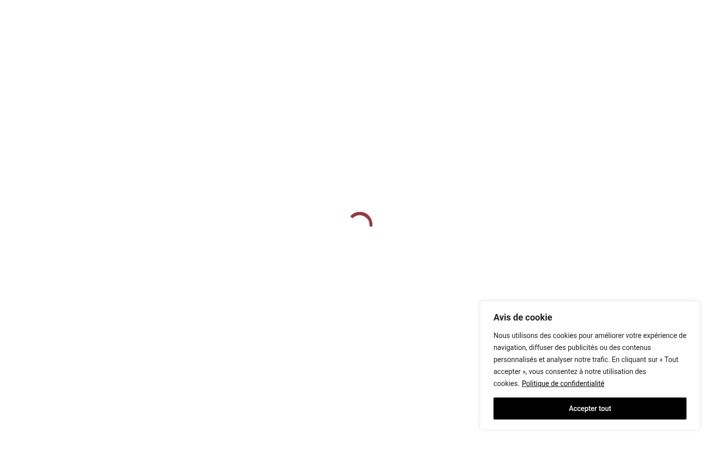 Screenshot of couvretoit.ch