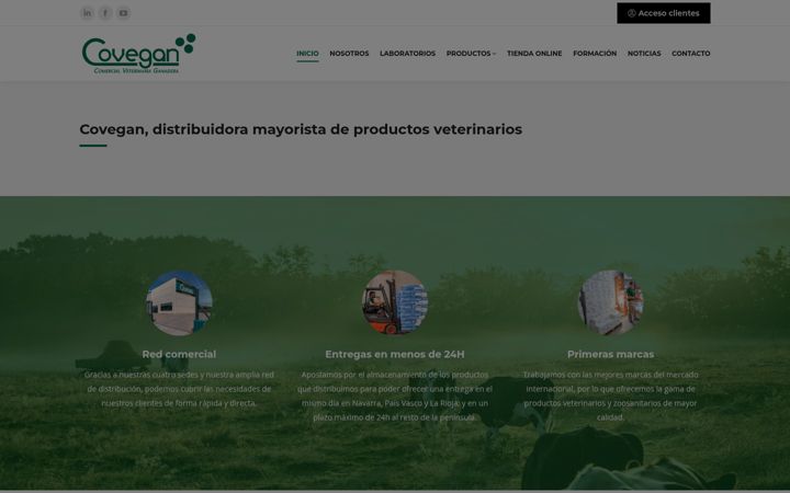 Screenshot of covegan.es
