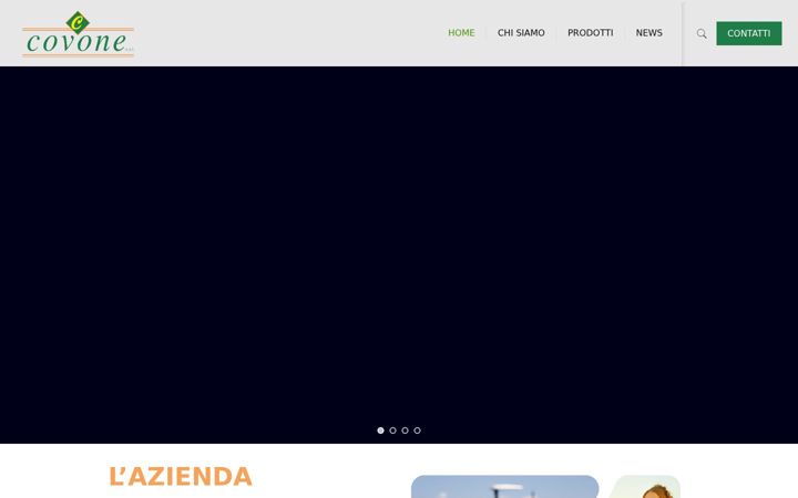Screenshot of covonesrl.it