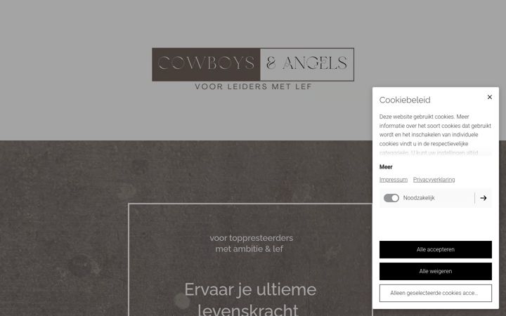 Screenshot of cowboysangels.nl