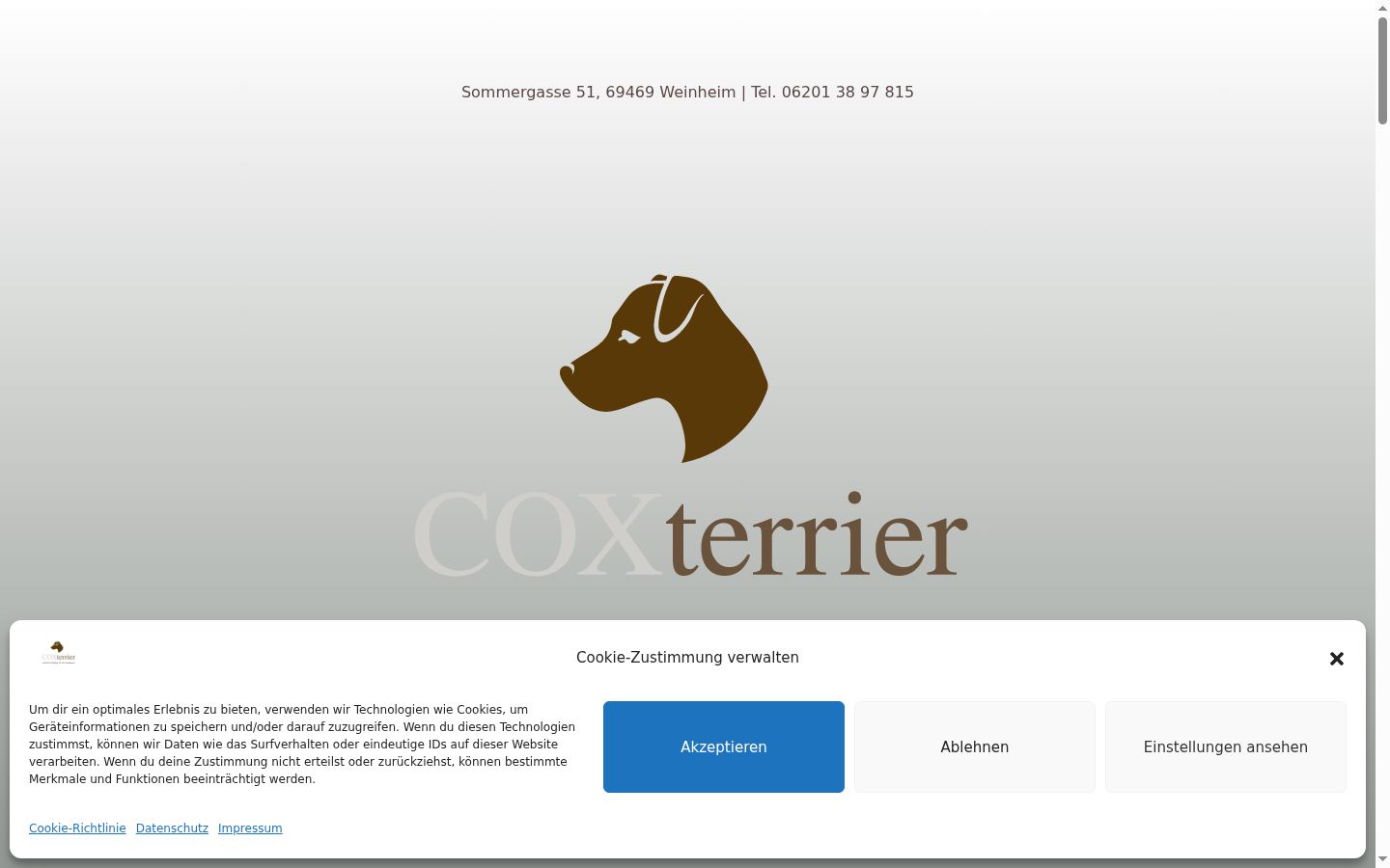 Screenshot del banner di consenso mostrato prima di qualsiasi interazione