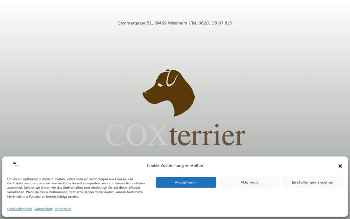 Screenshot of coxterrier.de
