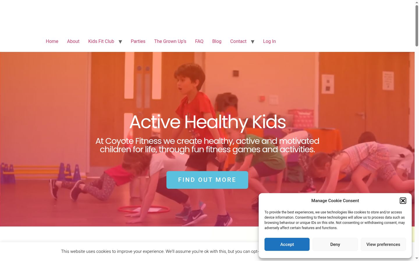 Screenshot of the consent banner shown before any interaction