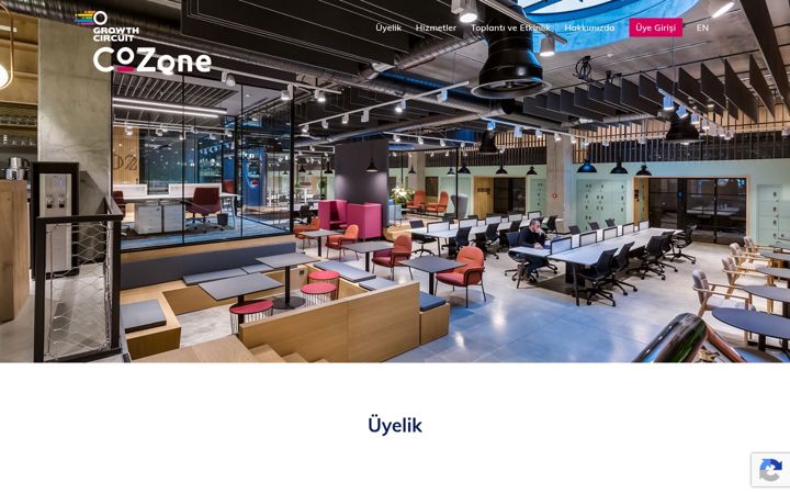 Screenshot of cozone.co