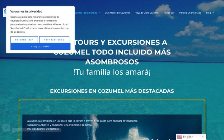 Screenshot of cozumeltours.online