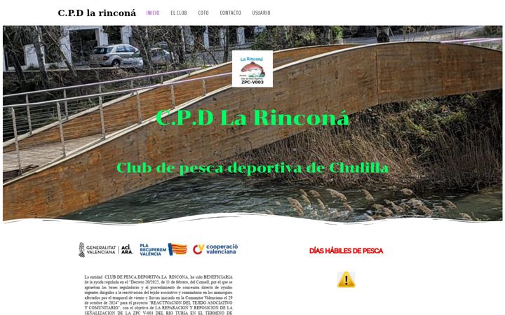 Screenshot of cpdlarincona.es
