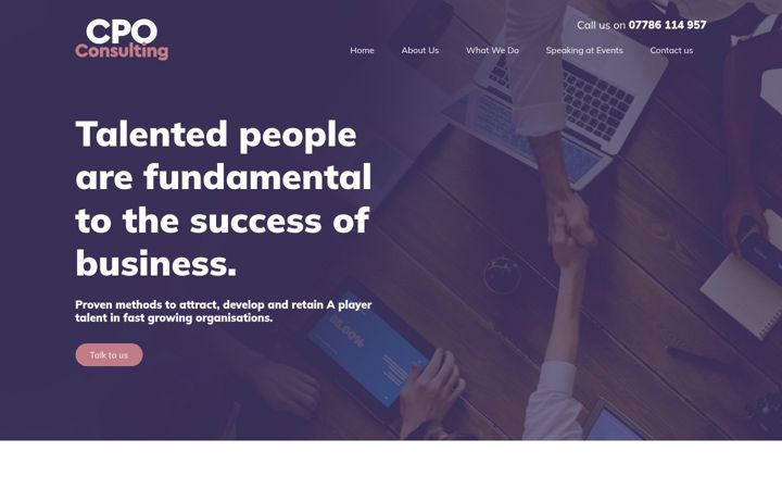 Screenshot of cpoconsult.co.uk