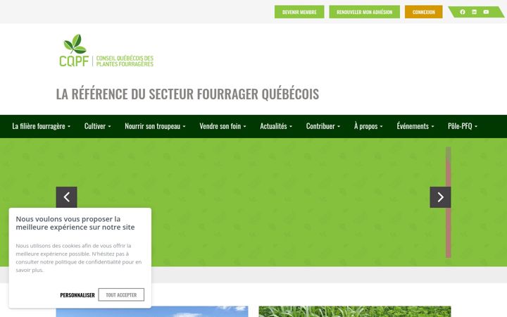 Screenshot of cqpf.ca