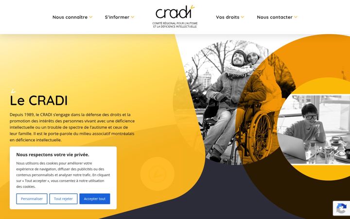 Screenshot of cradi.com