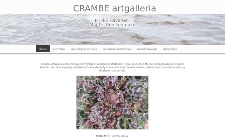 Screenshot di crambeartgalleria.fi