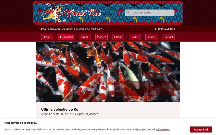 Screenshot of crapikoi.net