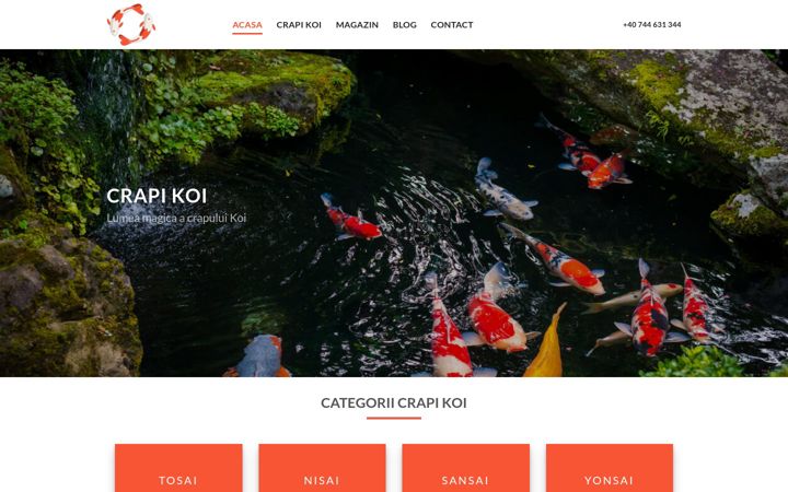 Screenshot of crapikoi.ro