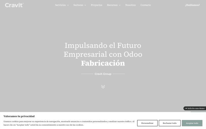 Screenshot of cravitgroup.es