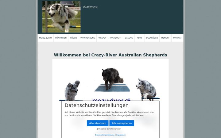Screenshot of crazy-river.ch