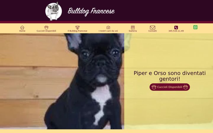 Screenshot of crazy4bulldogs.it
