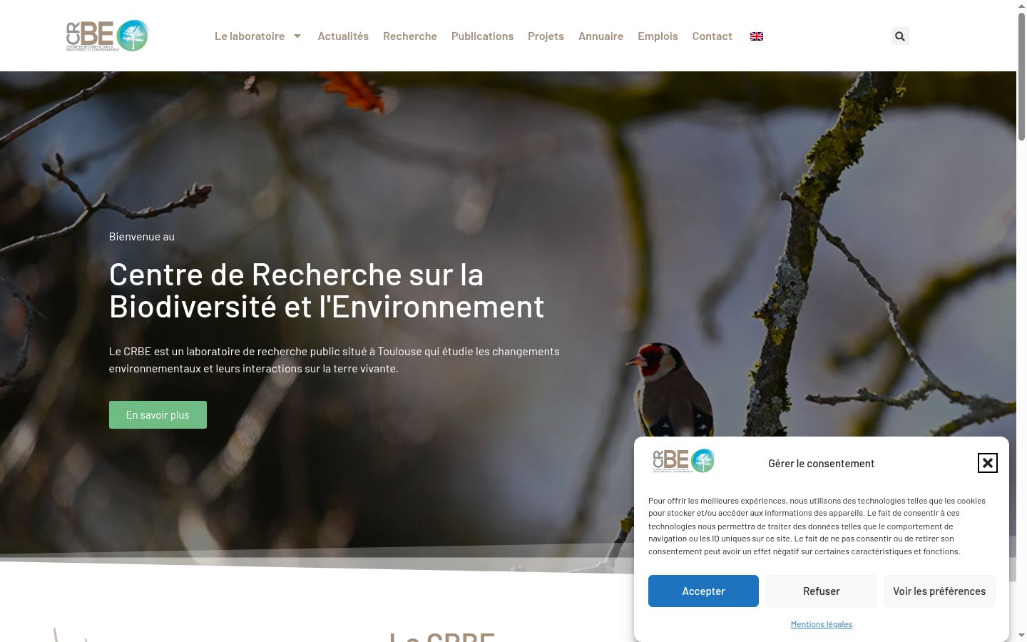 Screenshot des Einwilligungsbanners vor jeglicher Interaktion