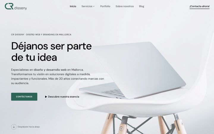 Screenshot of crdiseny.com