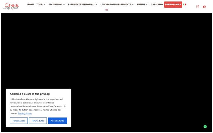 Captura de pantalla de creaexperience.it