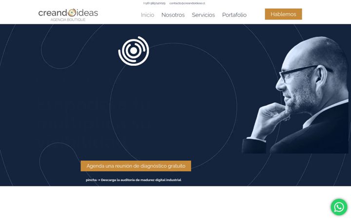 Screenshot of creandoideas.cl