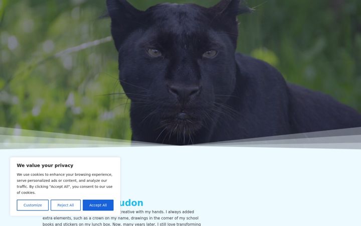 Screenshot of creaperfect.com