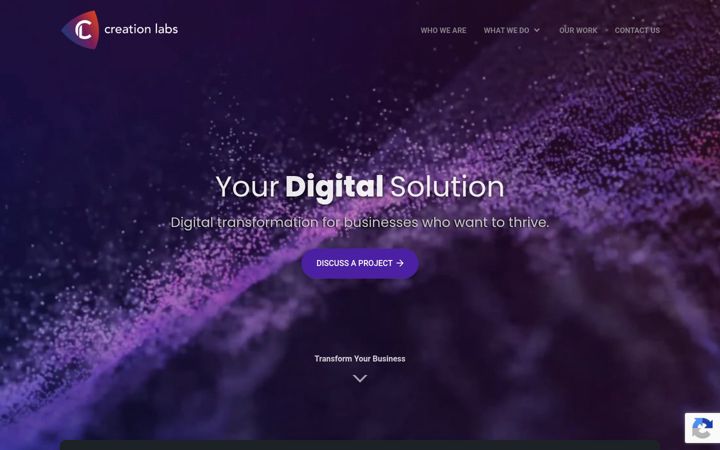 Skärmbild av creationlabs.co.za