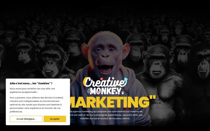 Screenshot of creativemonkeymarketing.ca