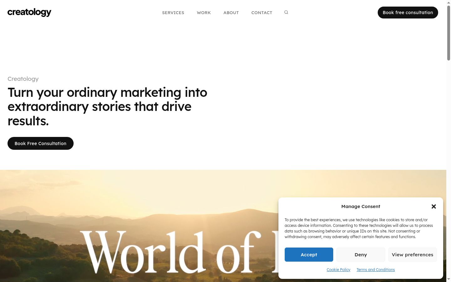 Screenshot of the consent banner shown before any interaction