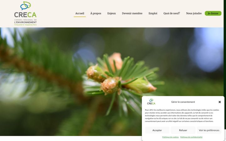 Screenshot of creca.qc.ca