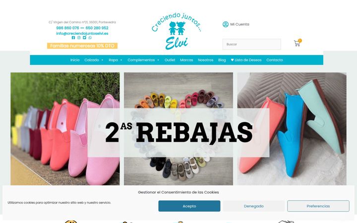 Screenshot of creciendojuntoselvi.es