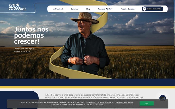 Screenshot of credicoopavel.com.br